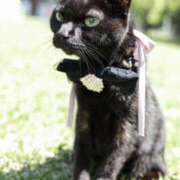 ヒメ日記 2026/02/22 23:22 投稿 松下こなた 色気あるワイフ