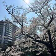 ヒメ日記 2026/03/29 22:28 投稿 松下こなた 色気あるワイフ