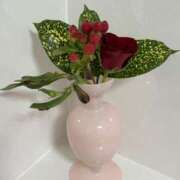 ヒメ日記 2026/01/24 10:24 投稿 松下こなた 麗しいマダム