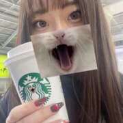 ヒメ日記 2025/12/22 19:38 投稿 さつき姫 I know すい～つ 生クリームpie