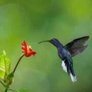 ヒメ日記 2026/02/17 20:17 投稿 希咲サリー -NEO-皇帝別館（中央街）