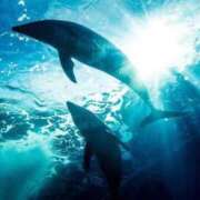 ヒメ日記 2026/02/19 16:27 投稿 希咲サリー -NEO-皇帝別館（中央街）