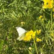 ヒメ日記 2026/03/14 18:47 投稿 希咲サリー -NEO-皇帝別館（中央街）