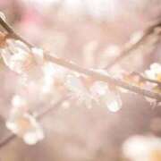 ヒメ日記 2026/03/16 14:47 投稿 希咲サリー -NEO-皇帝別館（中央街）