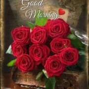 ヒメ日記 2026/03/29 08:47 投稿 希咲サリー -NEO-皇帝別館（中央街）