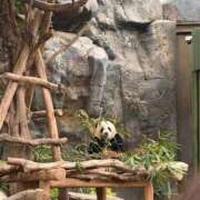 Anna Anna in Taiwan🇹🇼 THE PREMIUM （プレミアム）