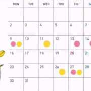 ヒメ日記 2026/03/02 22:43 投稿 Anna THE PREMIUM （プレミアム）