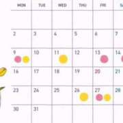 ヒメ日記 2026/03/02 22:49 投稿 Anna THE PREMIUM （プレミアム）