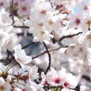 Anna Anna 復帰のお知らせ🪄︎︎✨ THE PREMIUM （プレミアム）