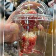 ヒメ日記 2025/12/19 07:46 投稿 冬香 昼顔妻 五反田店