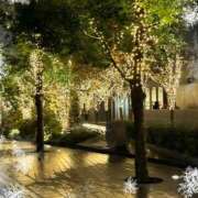 ヒメ日記 2025/12/21 00:06 投稿 冬香 昼顔妻 五反田店