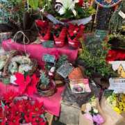 ヒメ日記 2025/12/25 12:55 投稿 冬香 昼顔妻 五反田店