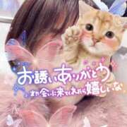 ヒメ日記 2026/01/20 21:56 投稿 冬香 昼顔妻 五反田店