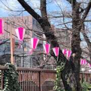 ヒメ日記 2026/03/17 14:56 投稿 冬香 昼顔妻 五反田店