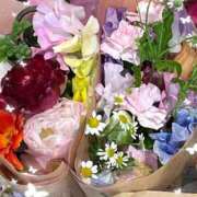 ヒメ日記 2026/04/04 16:06 投稿 冬香 昼顔妻 五反田店