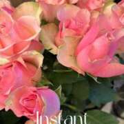 ヒメ日記 2026/04/04 20:26 投稿 冬香 昼顔妻 五反田店