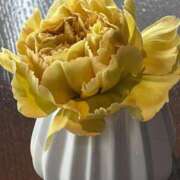 ヒメ日記 2026/04/05 14:19 投稿 冬香 昼顔妻 五反田店