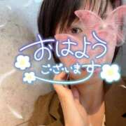 ヒメ日記 2026/05/26 06:36 投稿 冬香 昼顔妻 五反田店