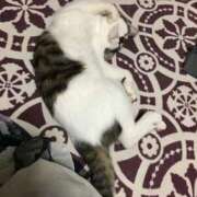 ヒメ日記 2025/12/30 18:32 投稿 りん 船橋ときめき女学園