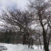 ヒメ日記 2025/12/31 08:01 投稿 りん 船橋ときめき女学園