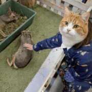 ヒメ日記 2026/01/09 08:11 投稿 りん 船橋ときめき女学園