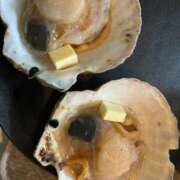 ヒメ日記 2026/01/22 20:41 投稿 りん 船橋ときめき女学園