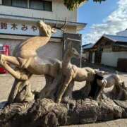 ヒメ日記 2026/03/29 12:21 投稿 りん 船橋ときめき女学園