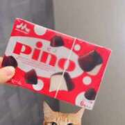 ヒメ日記 2026/02/10 20:32 投稿 なこ 萌えカワ