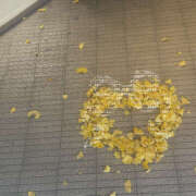 れな 幸せのおすそ分け🕊  ͗ ͗𓂃🤍 VIVIDCREW 梅田堂山店