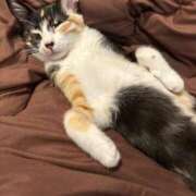 ヒメ日記 2026/01/12 04:20 投稿 ののか 木更津人妻花壇