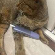 ヒメ日記 2025/12/18 17:02 投稿 織部　りさ えちごやMM商事