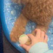 ヒメ日記 2025/12/19 12:03 投稿 織部　りさ えちごやMM商事