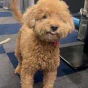 ヒメ日記 2025/12/20 12:03 投稿 織部　りさ えちごやMM商事