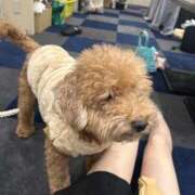 ヒメ日記 2025/12/22 00:12 投稿 織部　りさ えちごやMM商事