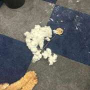 ヒメ日記 2025/12/22 11:32 投稿 織部　りさ えちごやMM商事