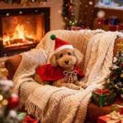 ヒメ日記 2025/12/23 22:12 投稿 織部　りさ えちごやMM商事