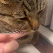 ヒメ日記 2025/12/23 22:49 投稿 織部　りさ えちごやMM商事