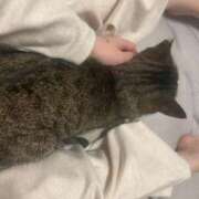 織部　りさ ばいばい！ えちごやSS商事