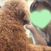 ヒメ日記 2025/12/17 19:32 投稿 琴音 さら えちごやMM商事