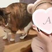 ヒメ日記 2025/12/18 06:52 投稿 琴音 さら えちごやMM商事