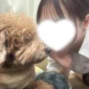 ヒメ日記 2025/12/22 19:12 投稿 琴音 さら えちごやMM商事