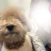 ヒメ日記 2025/12/26 23:22 投稿 琴音 さら えちごやMM商事