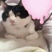 ヒメ日記 2025/12/29 16:02 投稿 琴音 さら えちごやSS商事