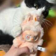 ヒメ日記 2026/01/03 23:32 投稿 琴音 さら えちごやSS商事