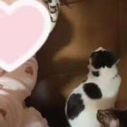 ヒメ日記 2026/01/04 22:22 投稿 琴音 さら えちごやSS商事