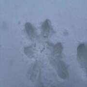 ヒメ日記 2026/01/09 12:52 投稿 琴音 さら えちごやSS商事