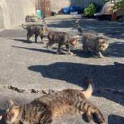 ヒメ日記 2026/01/10 12:42 投稿 琴音 さら えちごやSS商事