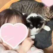 ヒメ日記 2026/01/17 09:22 投稿 琴音 さら えちごやSS商事