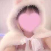 ヒメ日記 2026/02/01 23:52 投稿 琴音 さら えちごやSS商事