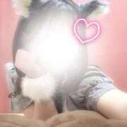 ヒメ日記 2026/02/10 06:52 投稿 琴音 さら えちごやSS商事